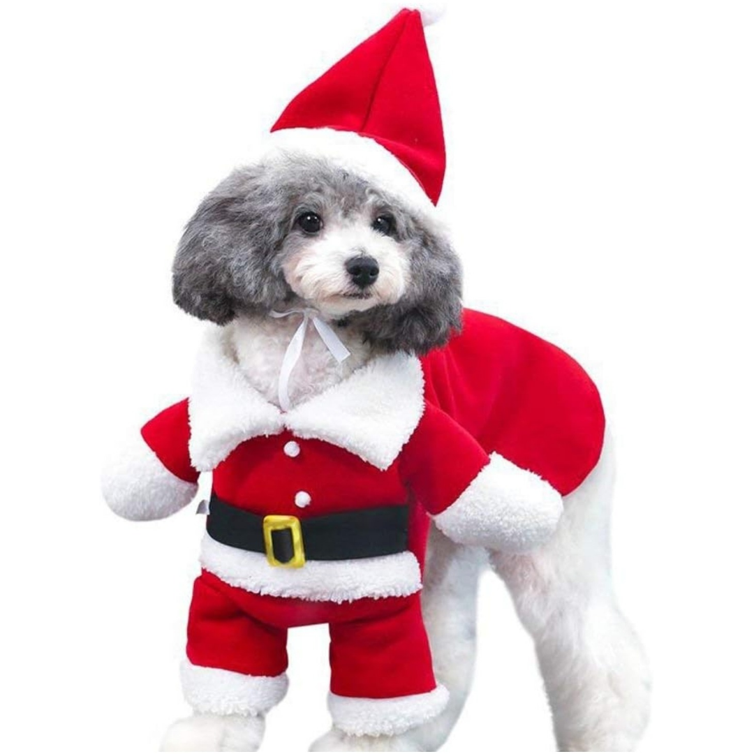 Santa Costume