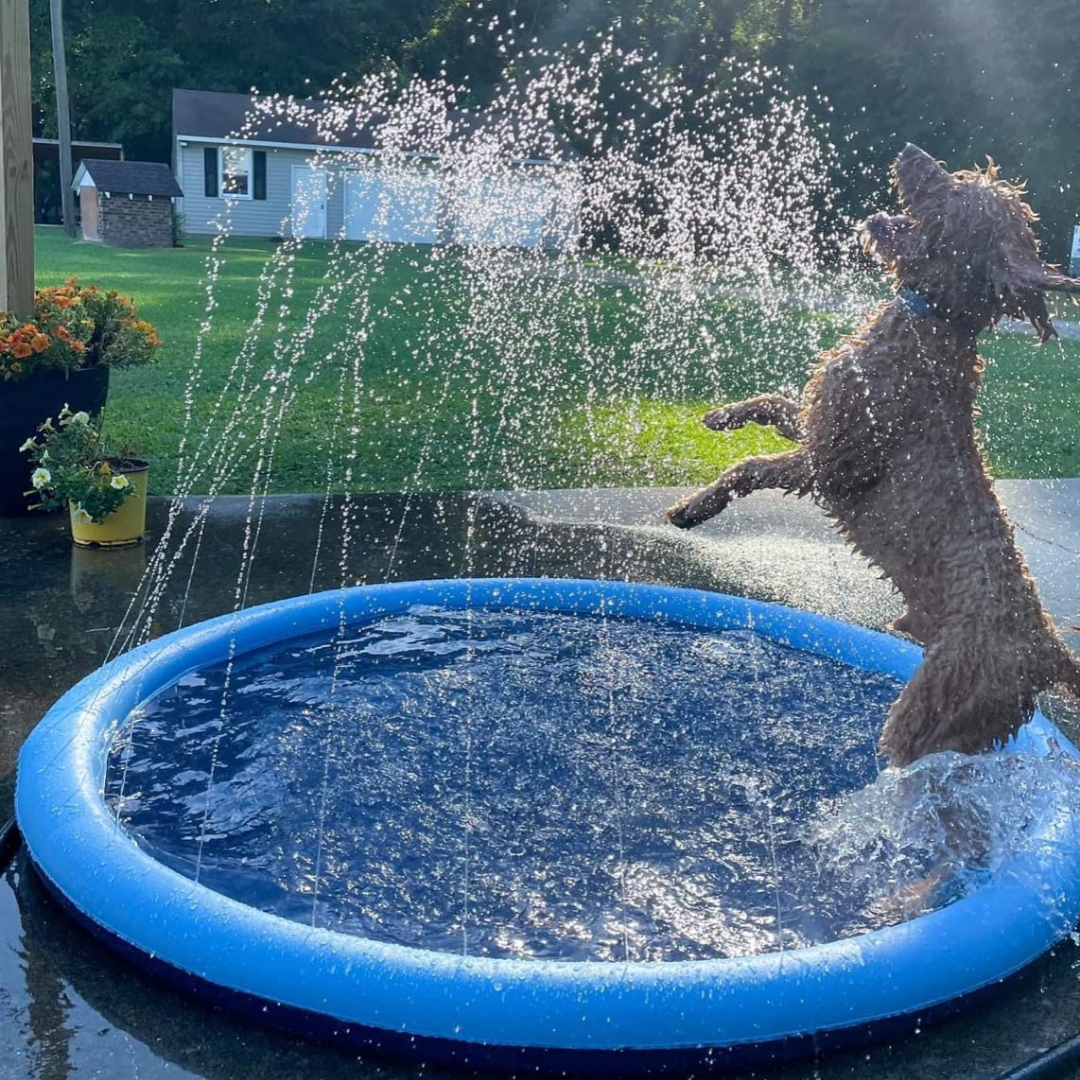 Doggo Splash Pad