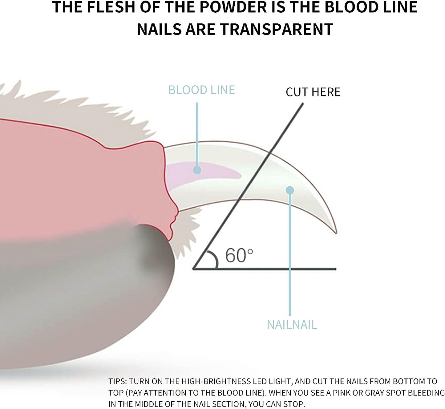 Led Nail Trimmer