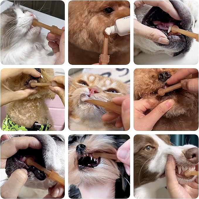 Pet Toothbrush
