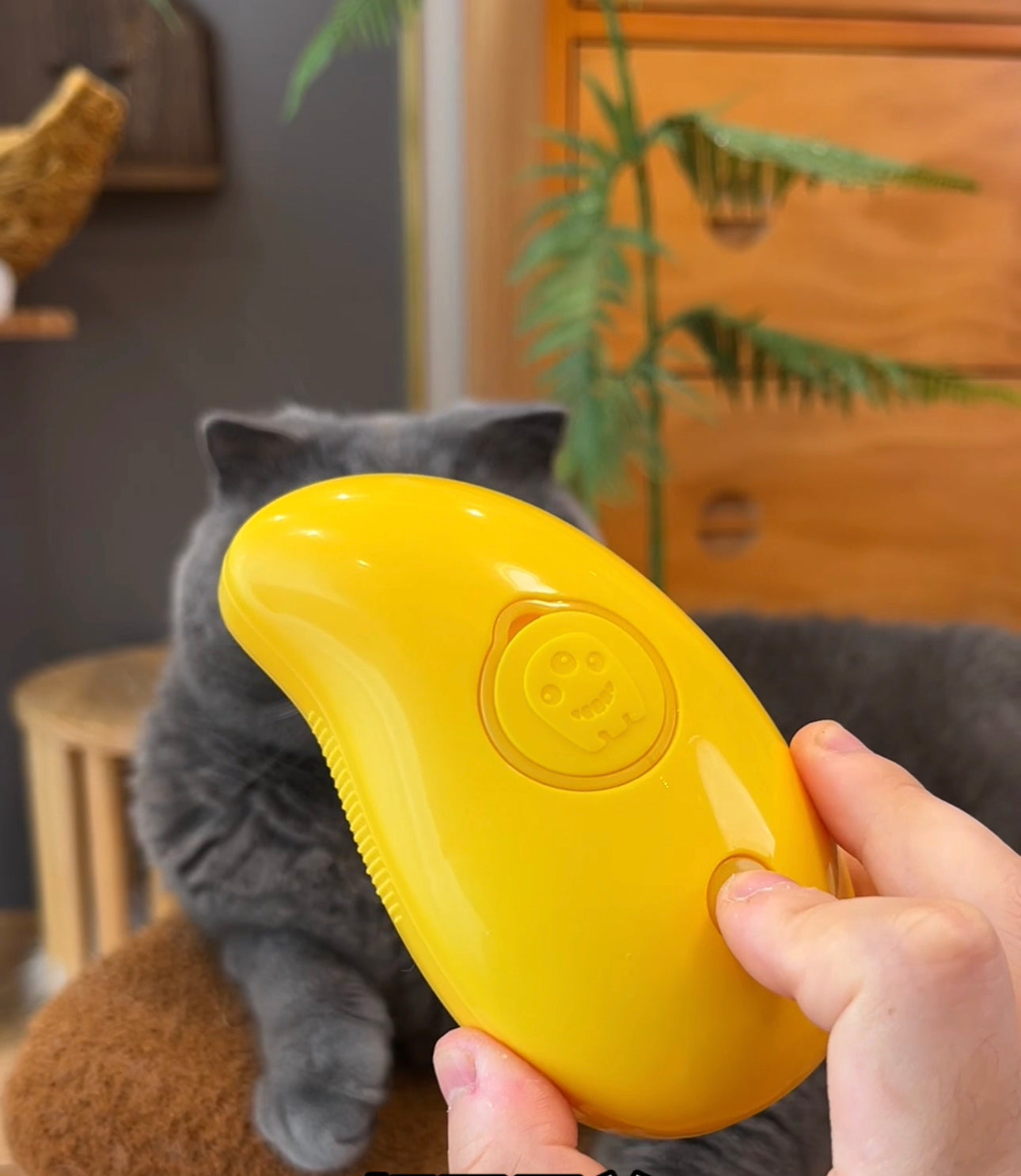 Steamy Pet Brush