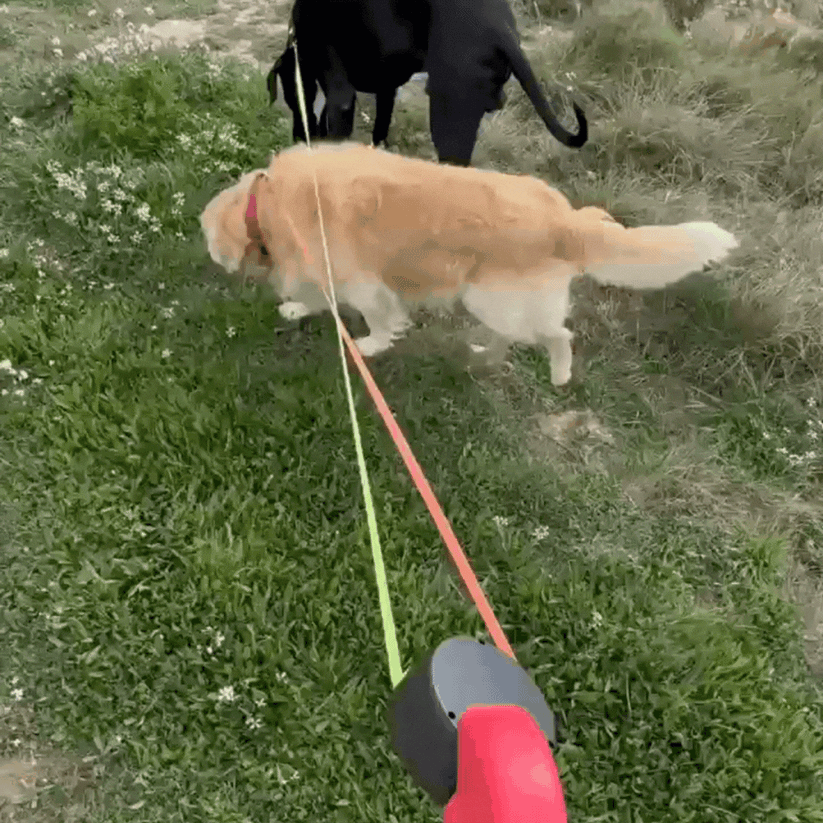 Anti Tangle Leash