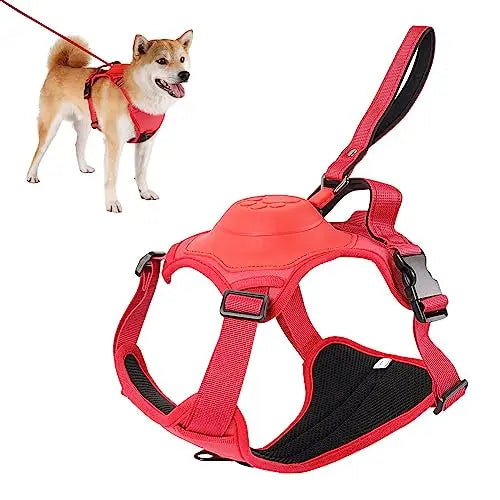 Adjustable Harness & Leash