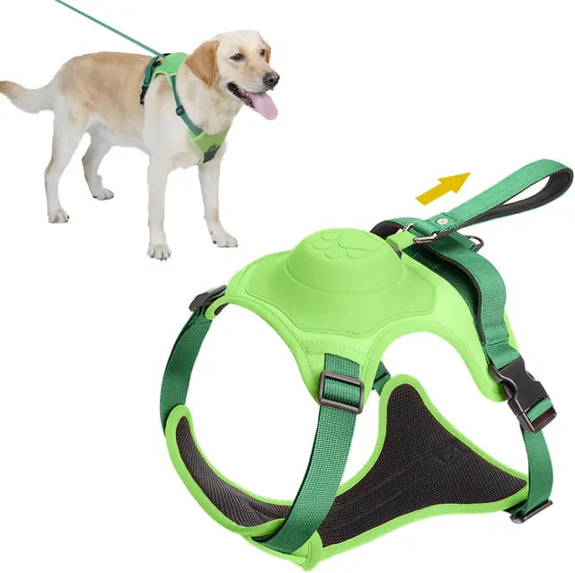 Adjustable Harness & Leash