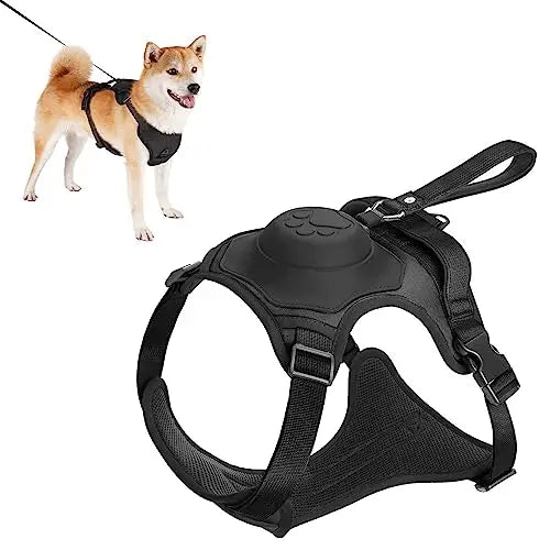 Adjustable Harness & Leash