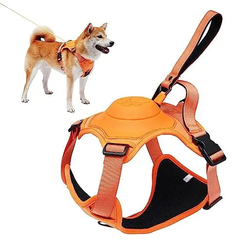 Adjustable Harness & Leash