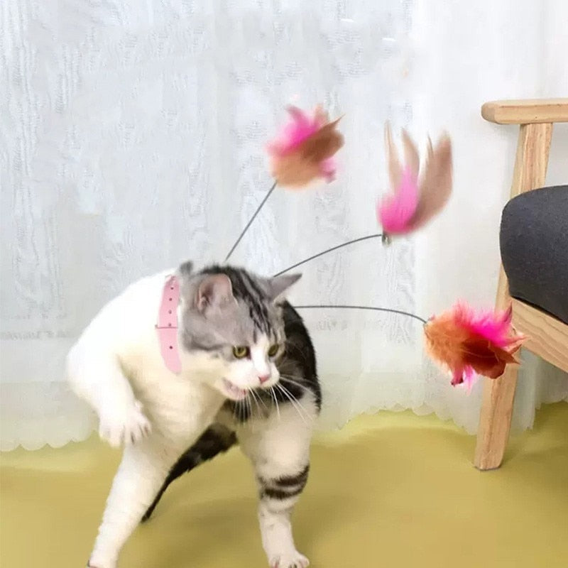 Cat Fun Toy