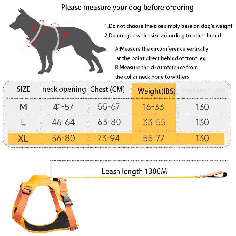 Adjustable Harness & Leash