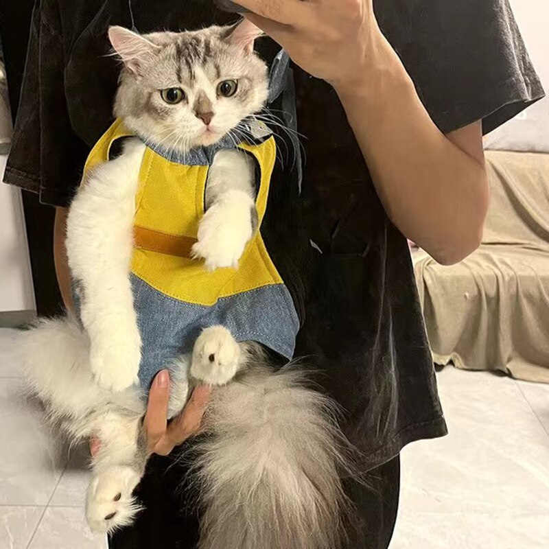 Pet Handle Backpack