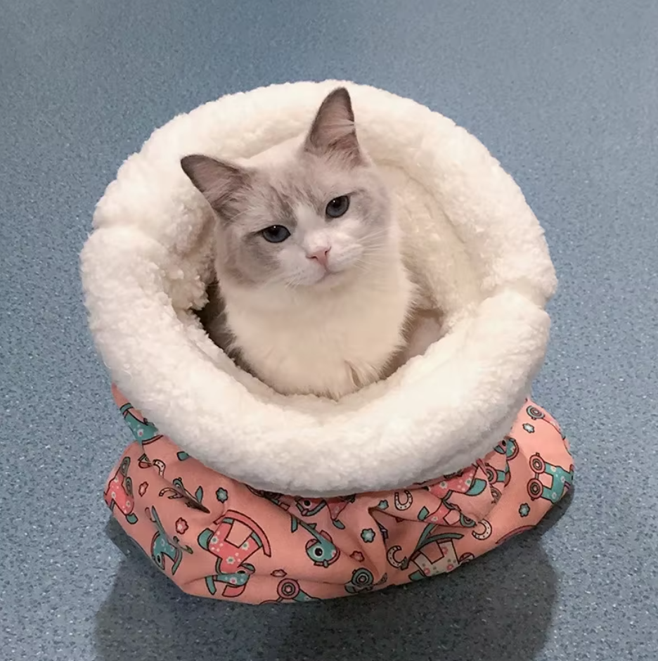 Comfy Cat Bag