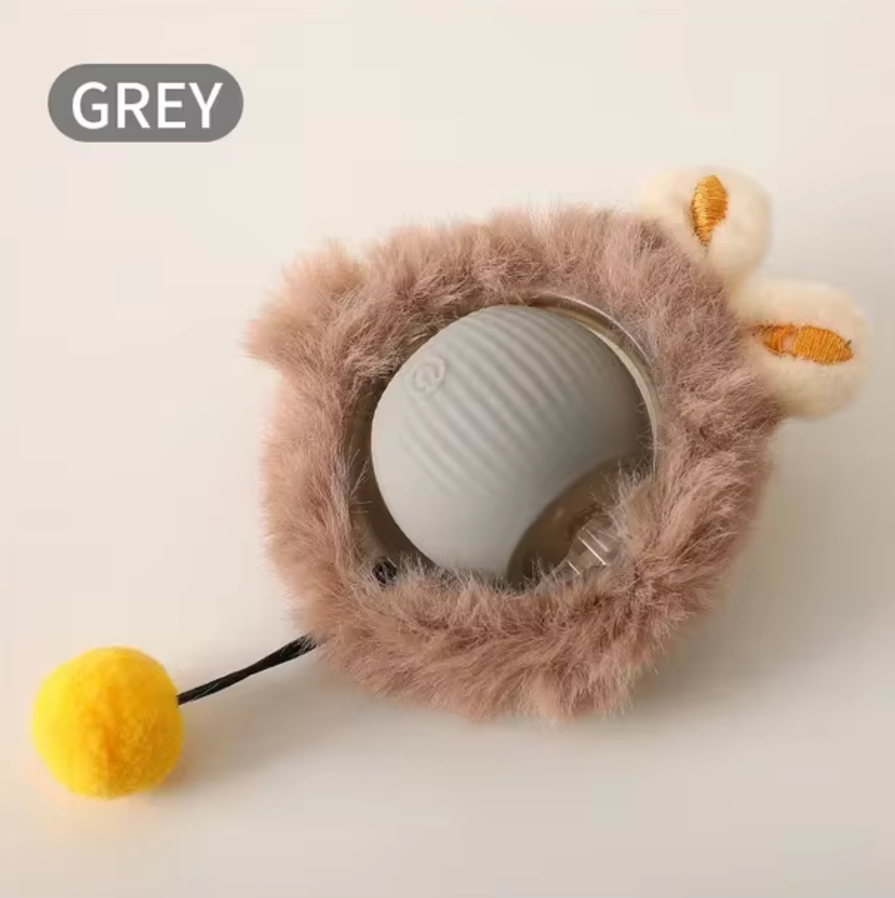 Rolling Kitty Toy