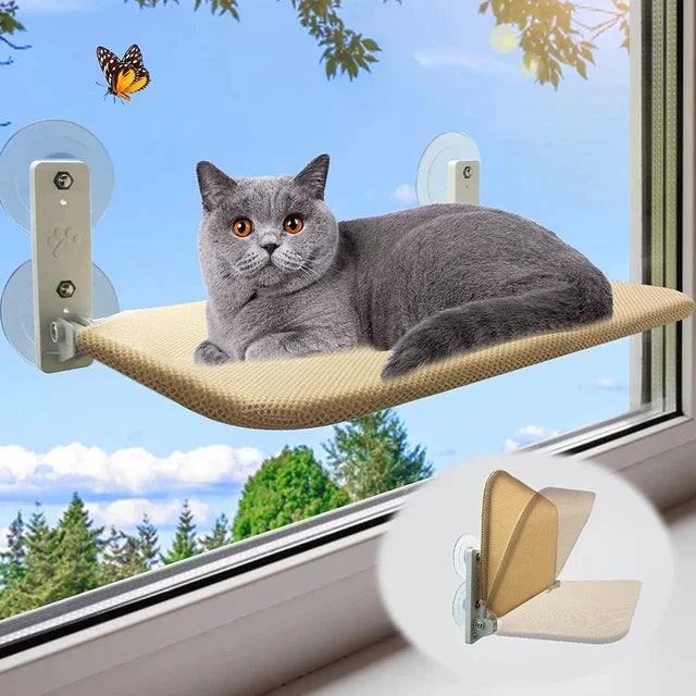 Foldable Cat Bed