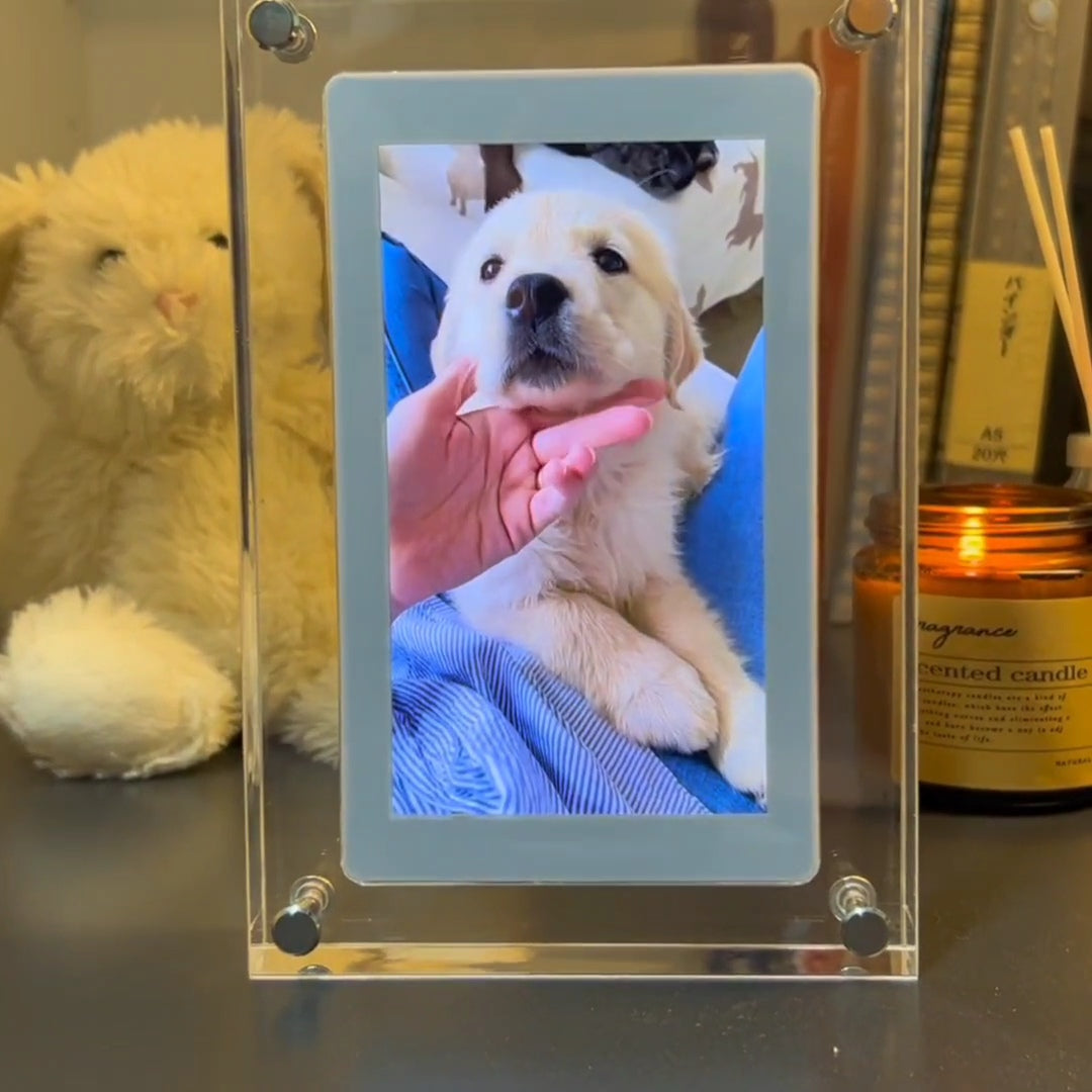 PawFrame