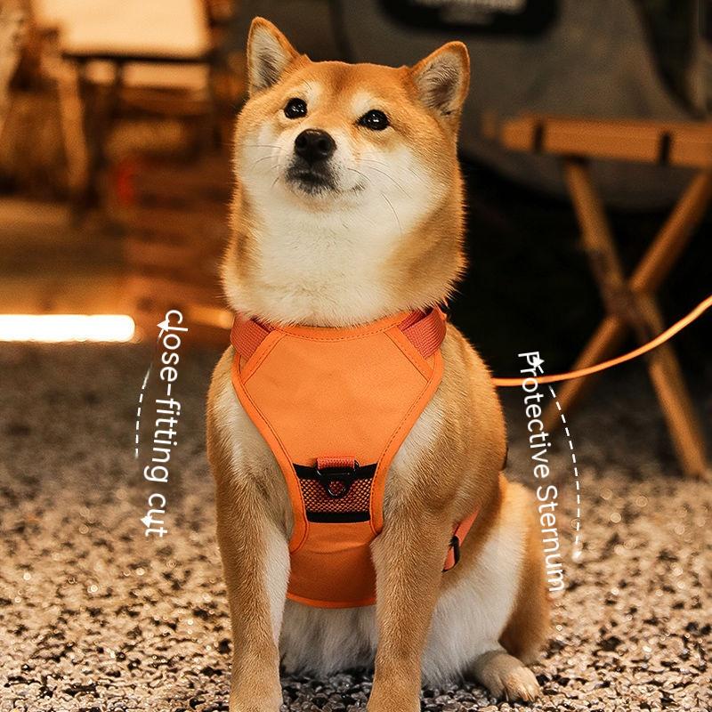 Adjustable Harness & Leash