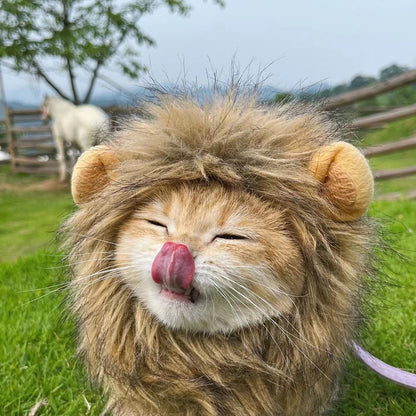 Lion Mane Costume