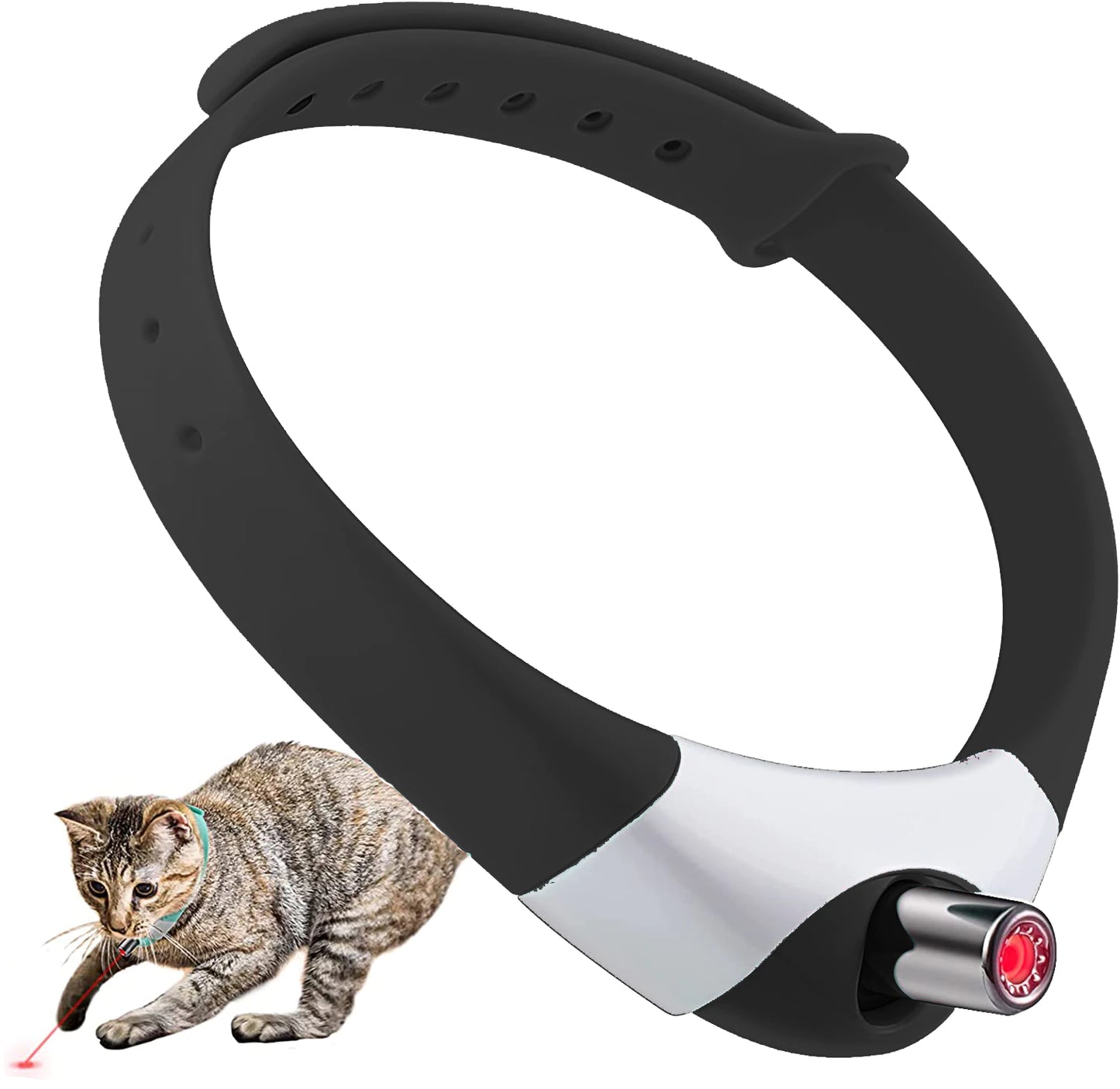Acquista LaserCatTeaser Collare per gatti elettrico Collare a luce laser  Stuzzicare i gattiGiocattolo LaserCatCollana per gattiGiocattolo  interattivo