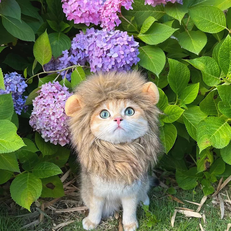 Lion Mane Costume