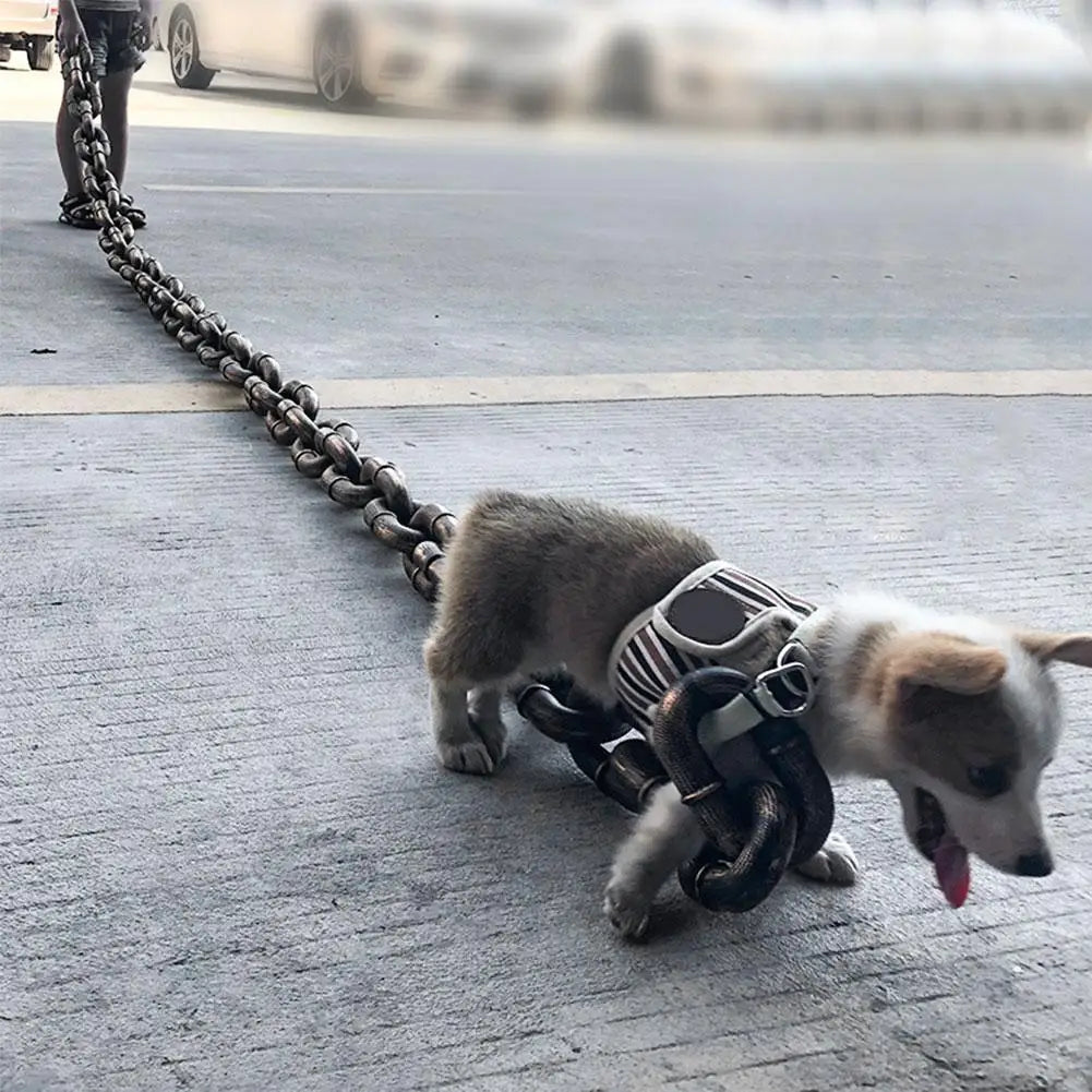 Big Doggo Leash