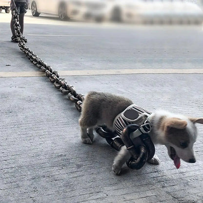 Big Doggo Leash